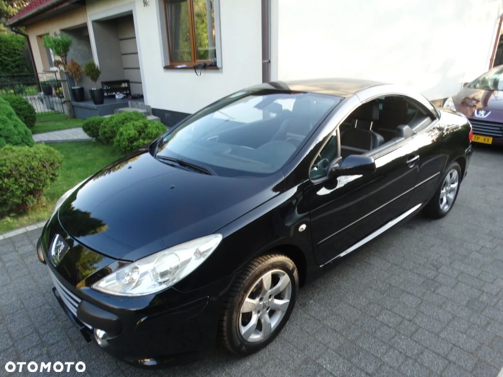 Peugeot 307 - 19