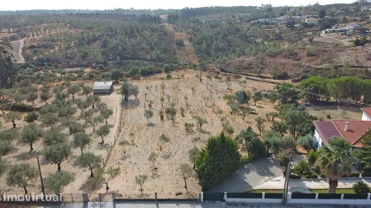 Terreno - Benquerenças, Castelo Branco - Grande imagem: 3/9