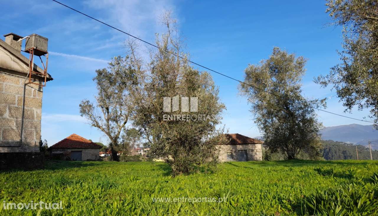 Venda Quinta com 2 Moradias e Terreno, Lomba, Amarante - Grande imagem: 2/34