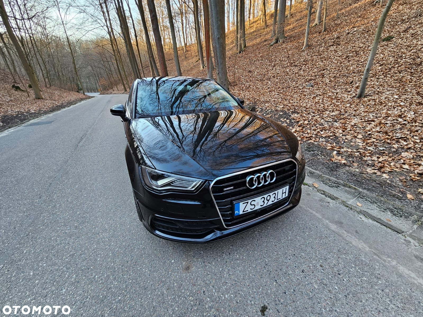 Audi A3 2.0 TDI clean diesel Quattro Ambition - 5