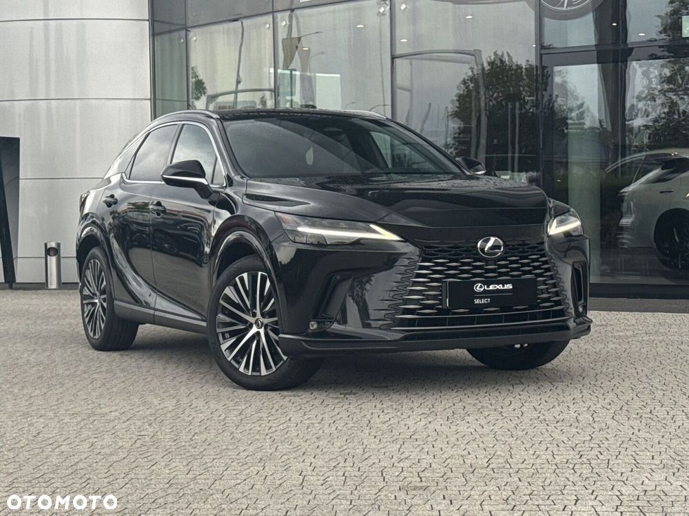 Lexus RX - 25