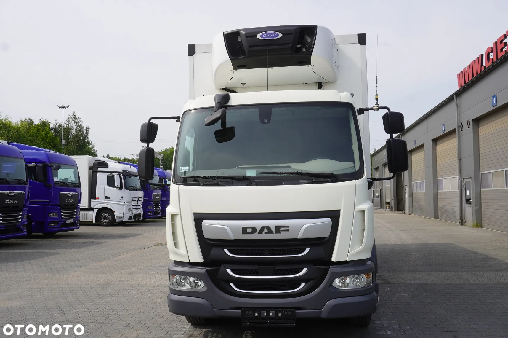 DAF DAF LF 16.260 / Chłodnia Jegger / Carrier Supra 750 / Dhollandia 1500 kg / Kab. sypialna - 8