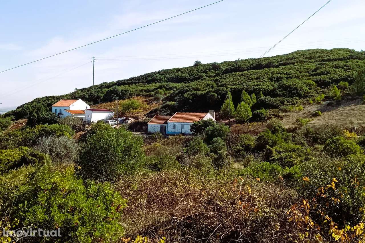 Quintinha com 10.680 m² no Casal do Aleixo – Torres Vedras - Grande imagem: 5/23