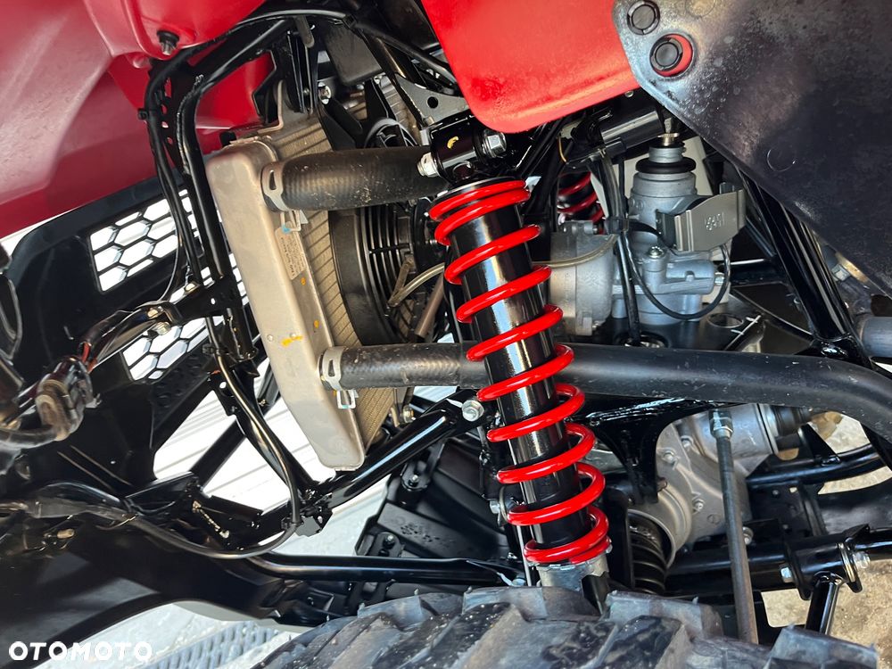 Kawasaki Brute Force - 13