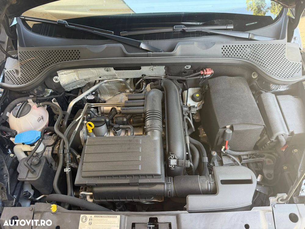 Volkswagen Beetle - 12