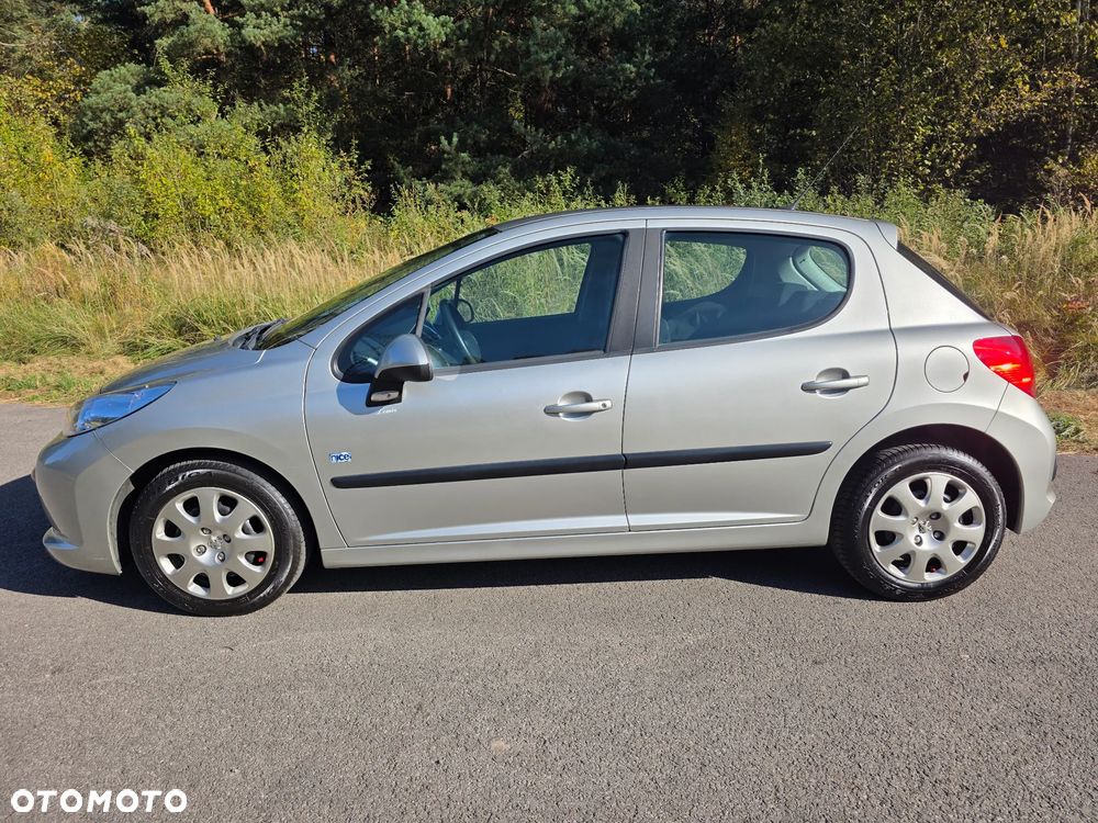 Peugeot 207 - 39