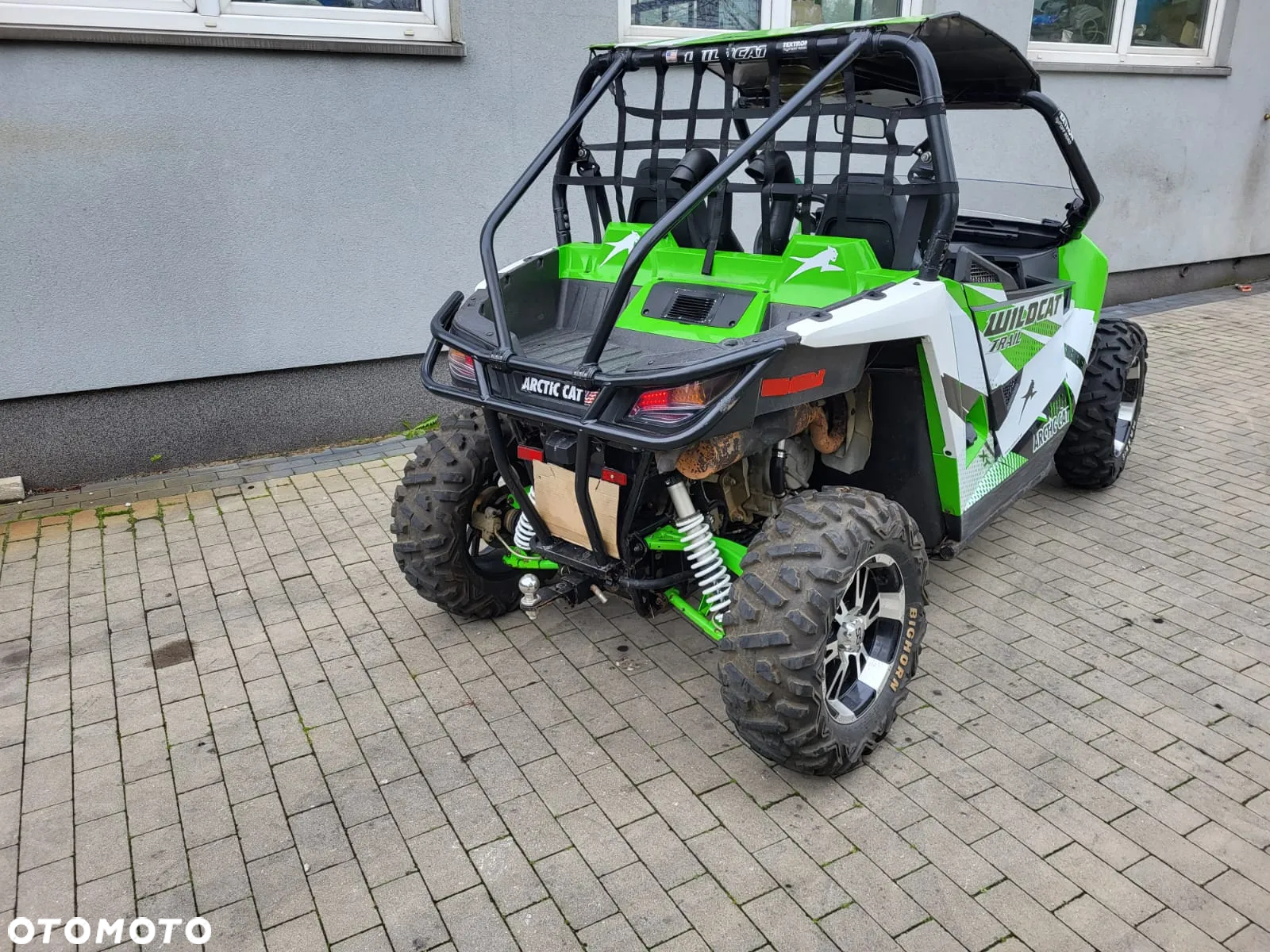 Arctic Cat Inny