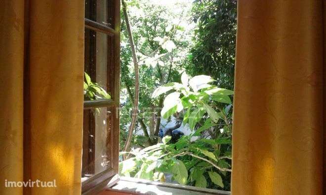 Alojamento Local em casa senhorial com restaurante e loja individual - Grande imagem: 4/24