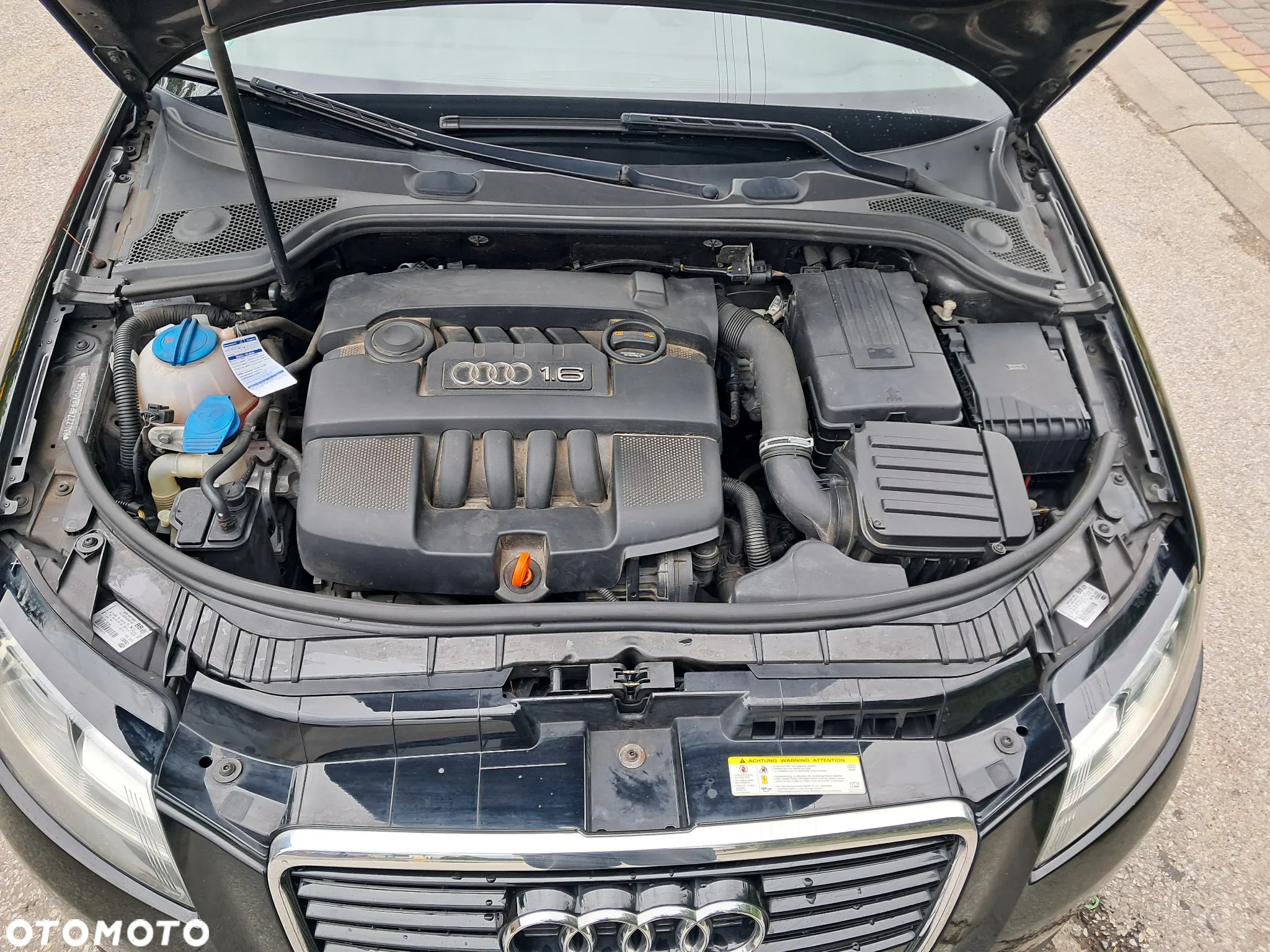 Audi A3 1.6 Attraction - 5