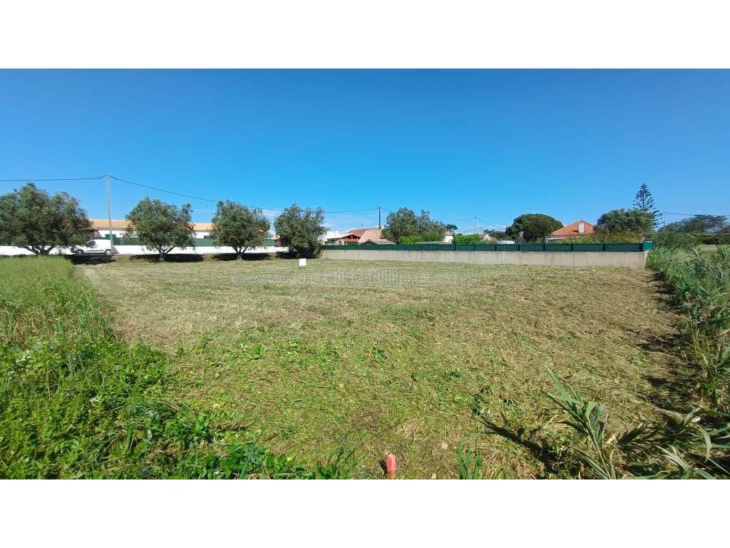 Terreno Para Construção na Azoia - Grande imagem: 2/4