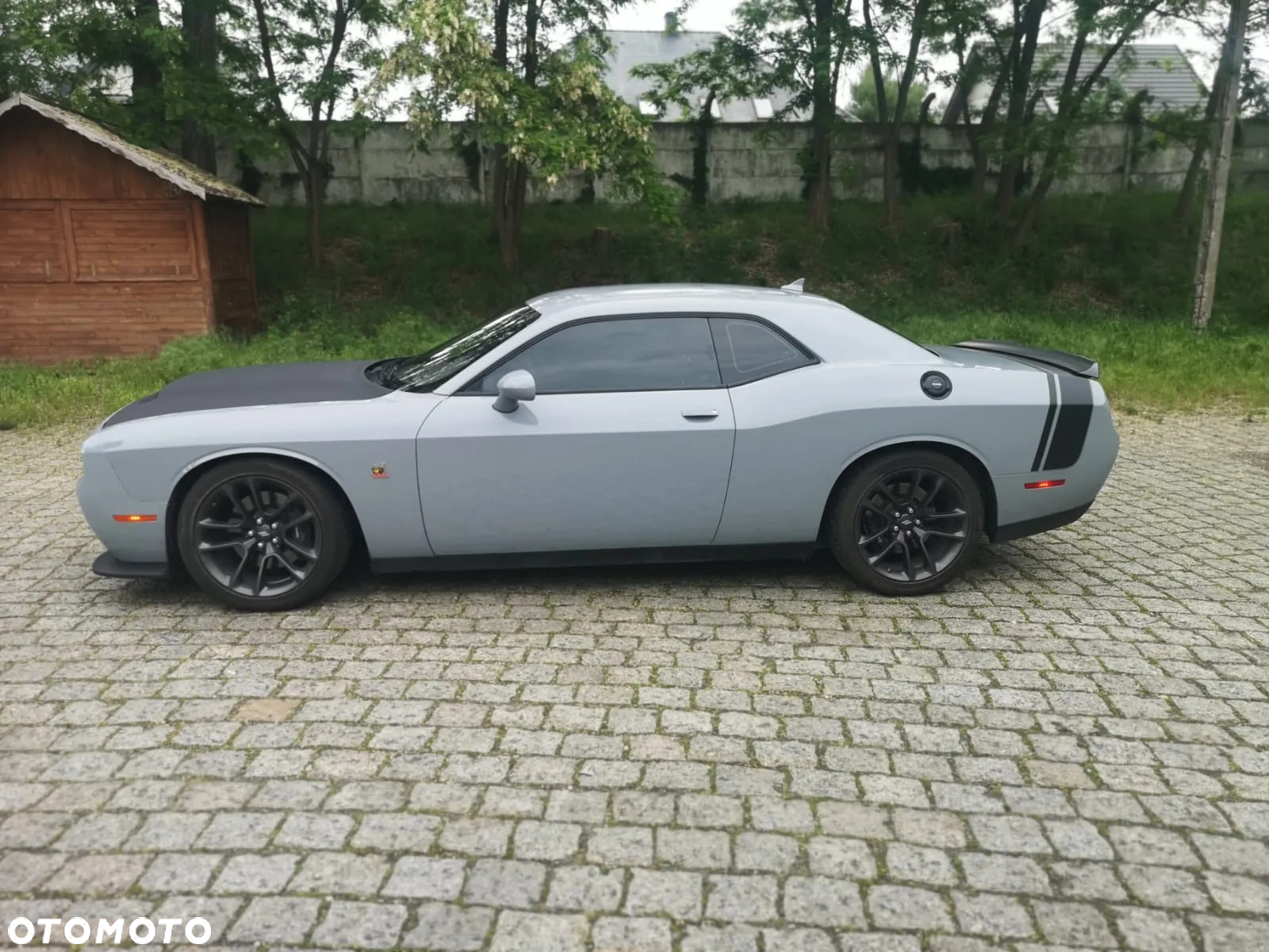Dodge Challenger - 30