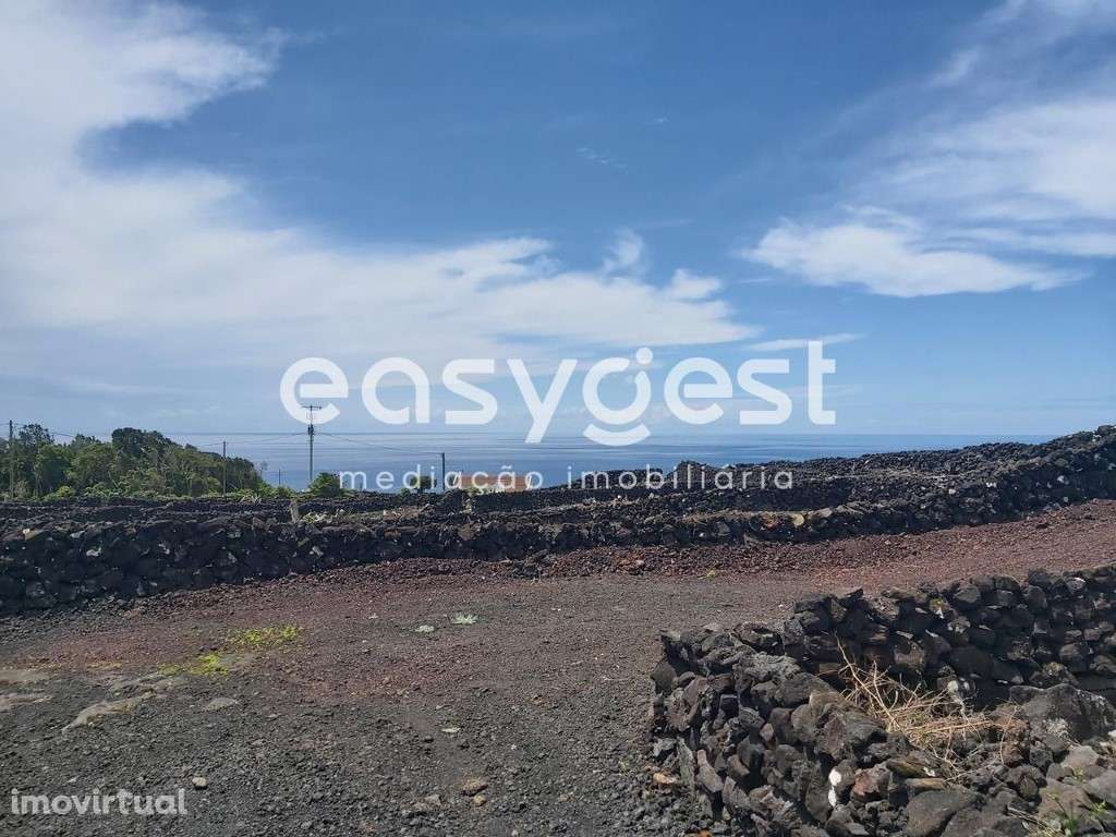 Terreno com vista o mar e montanha, em zona de vinha na ilha do Pico - Grande imagem: 2/16