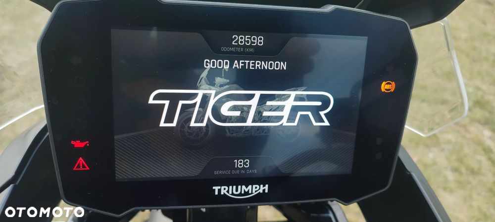 Triumph Tiger - 12