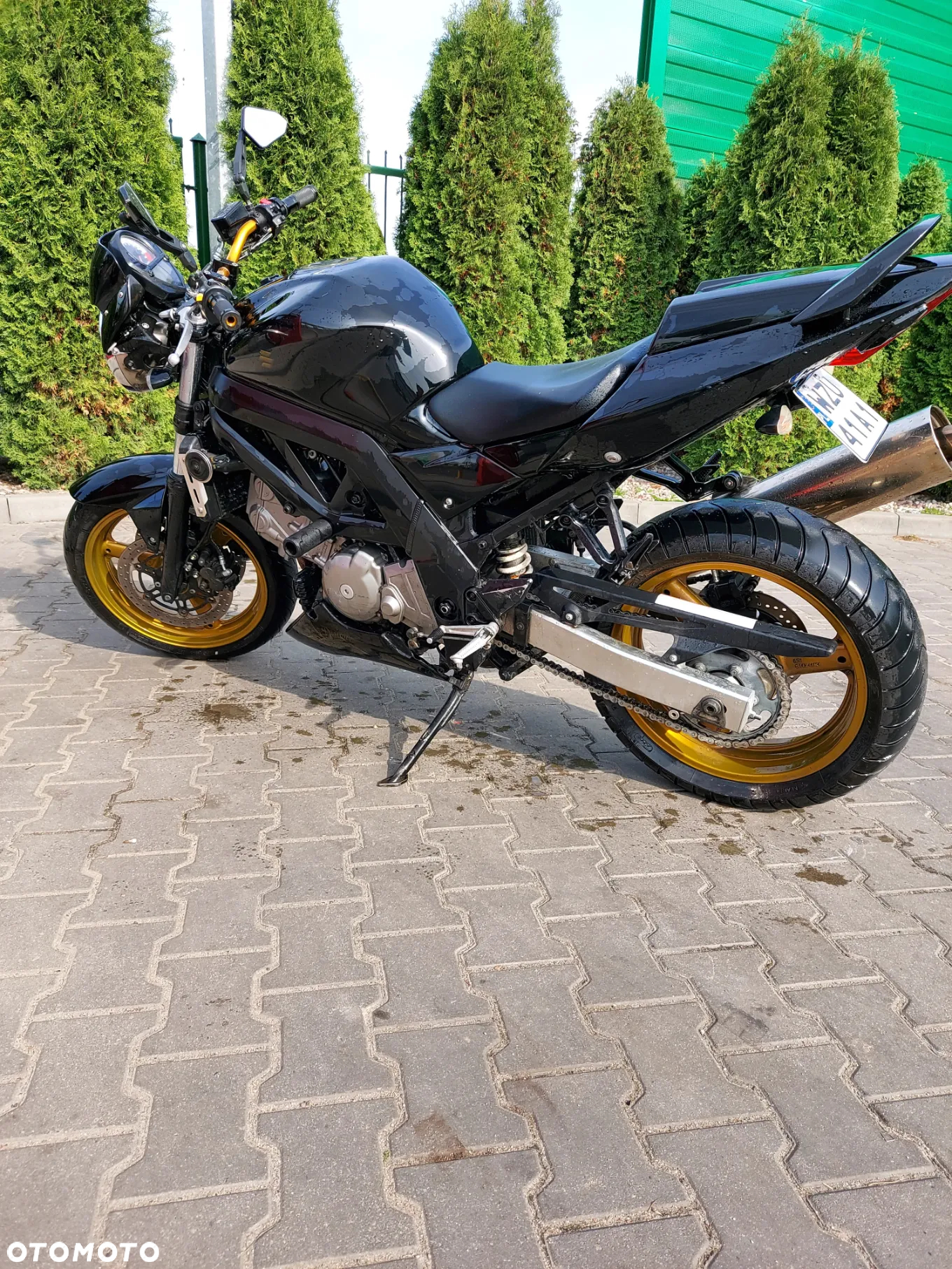 Suzuki SV - 5