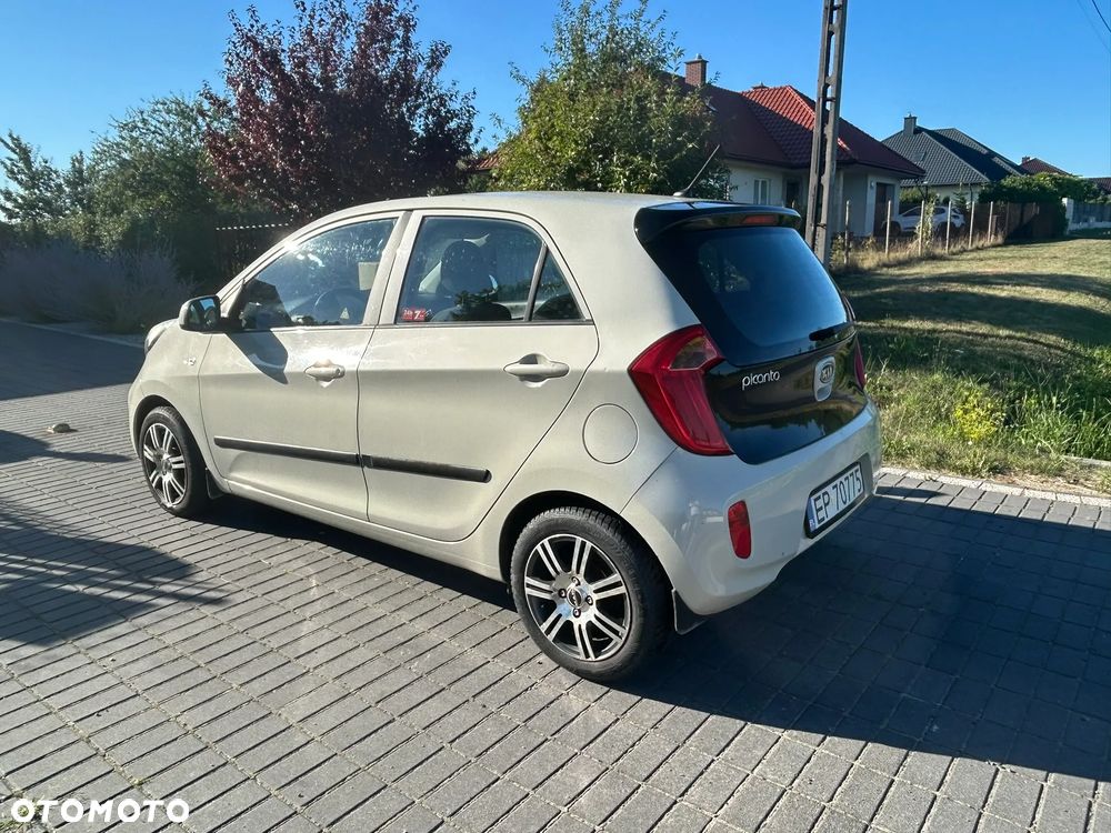 Kia Picanto 1.0 L - 5