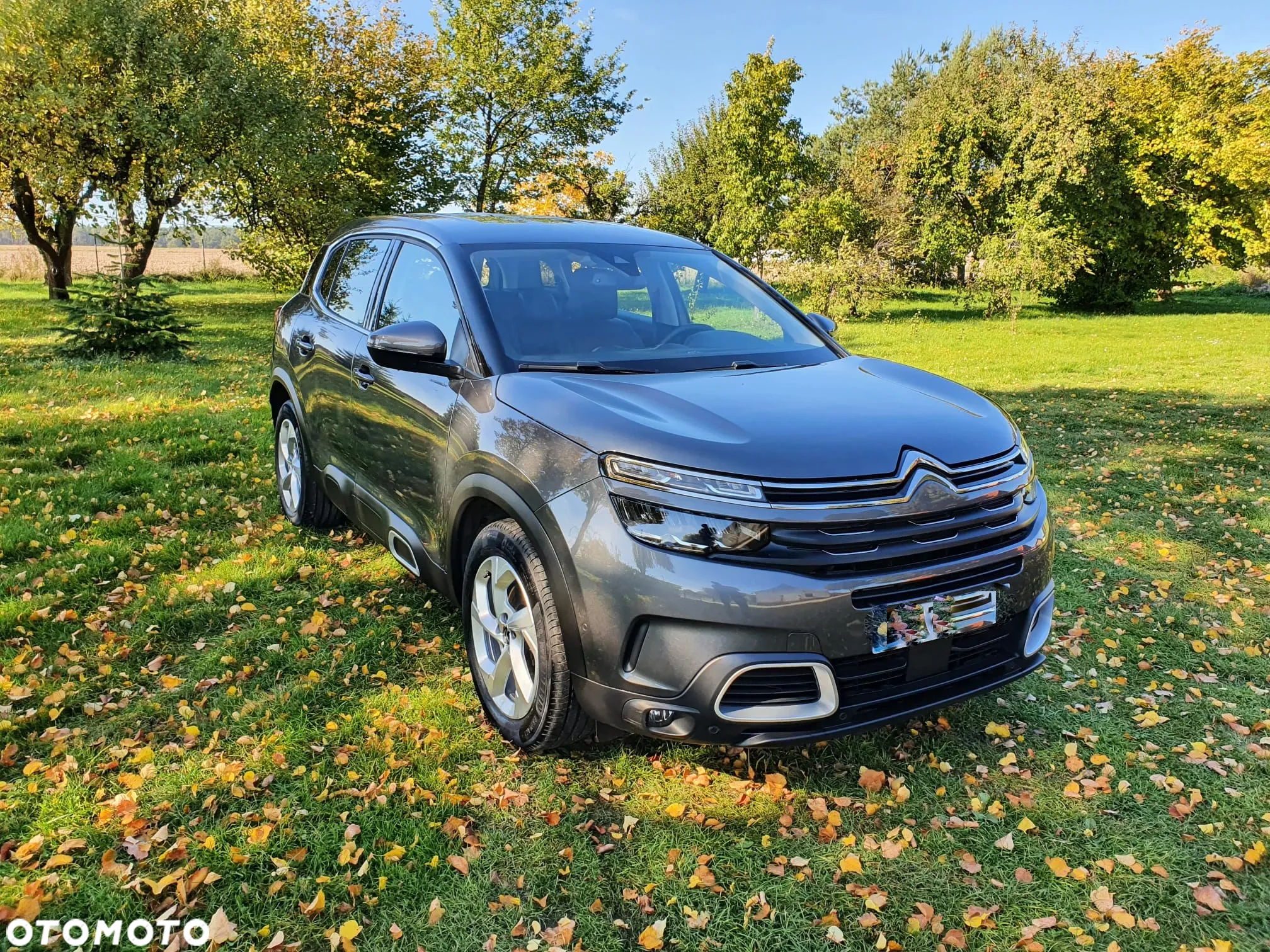 Citroën C5 Aircross BlueHDI 130 S&S EAT8 SHINE PACK - 10