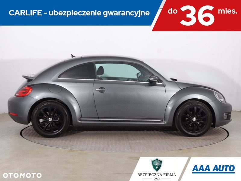 Volkswagen Beetle - 8
