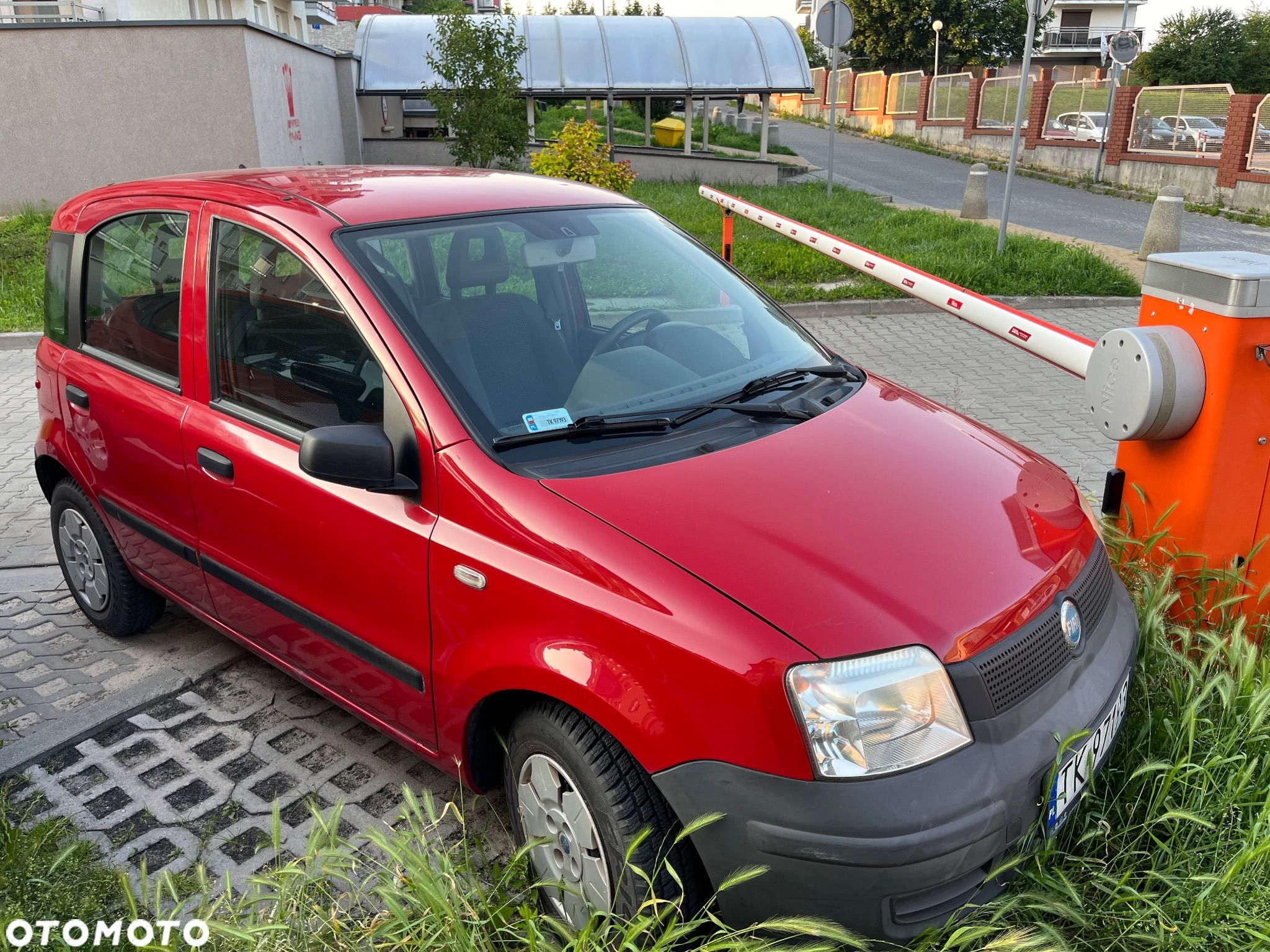 Fiat Panda - 1