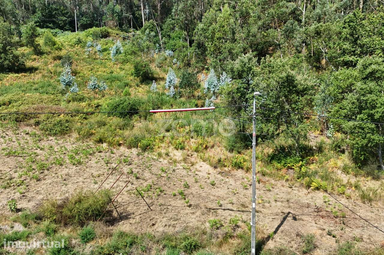 Terreno para construção em Pereira - Barcelos - Grande imagem: 5/18