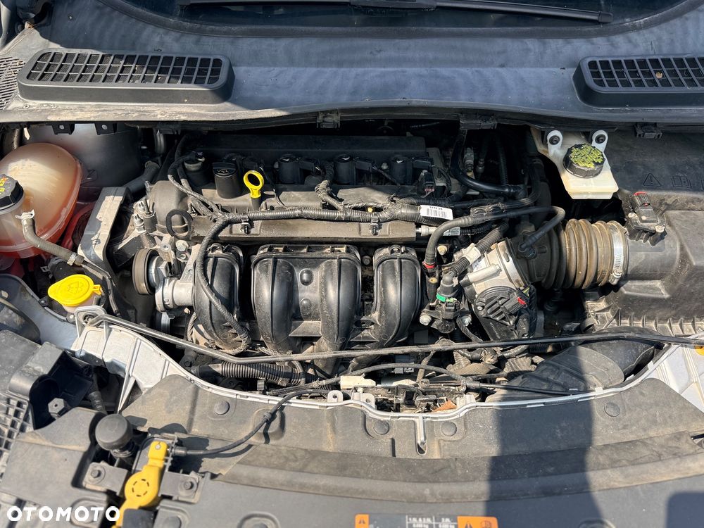 Ford Escape 2.5 FWD S - 16