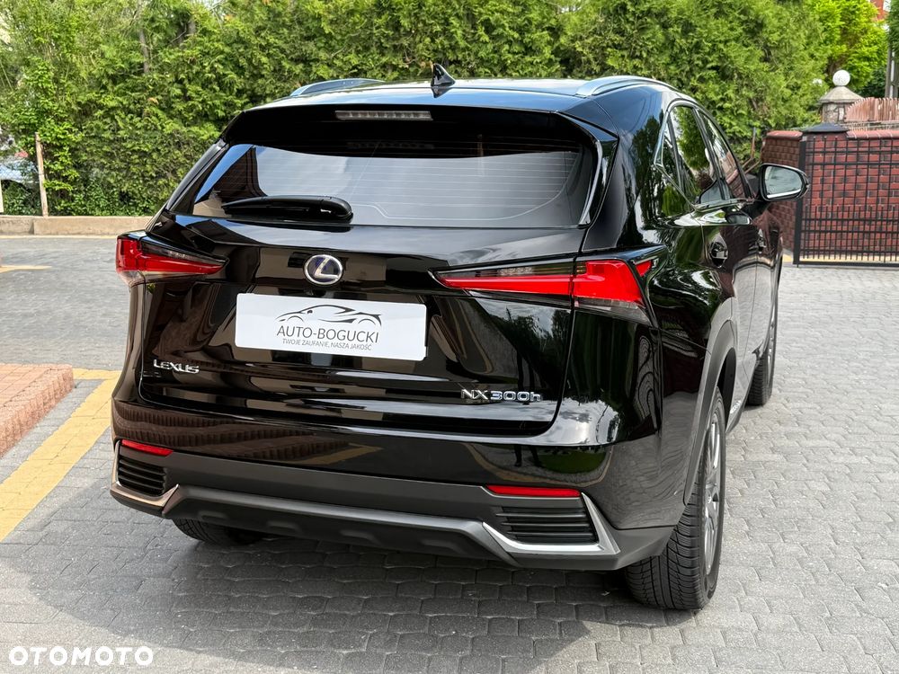 Lexus NX 300h Business Edition AWD - 15