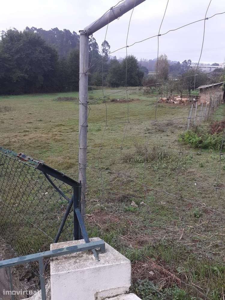 Terreno c/2000 m² | Santa Maria da Feira - Grande imagem: 3/8