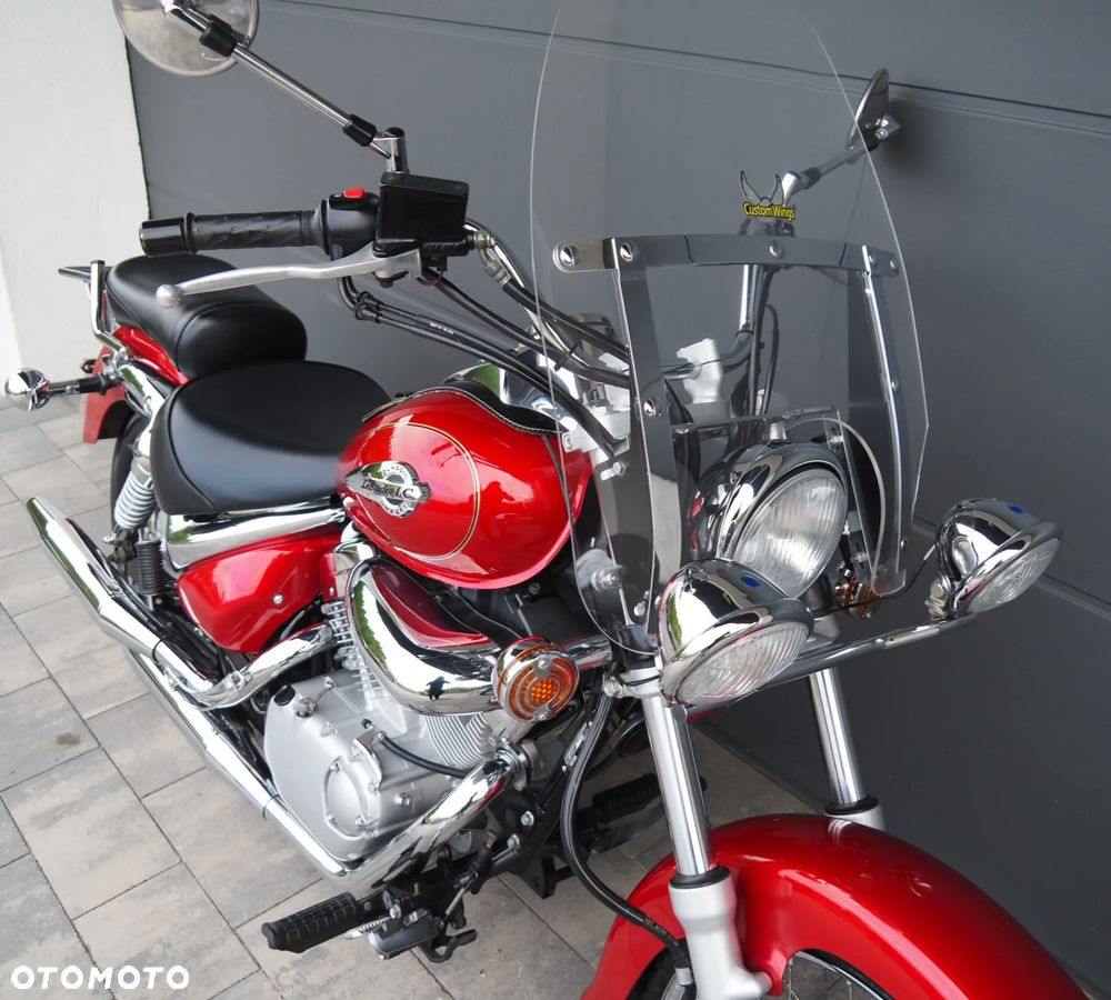 Suzuki Intruder - 14