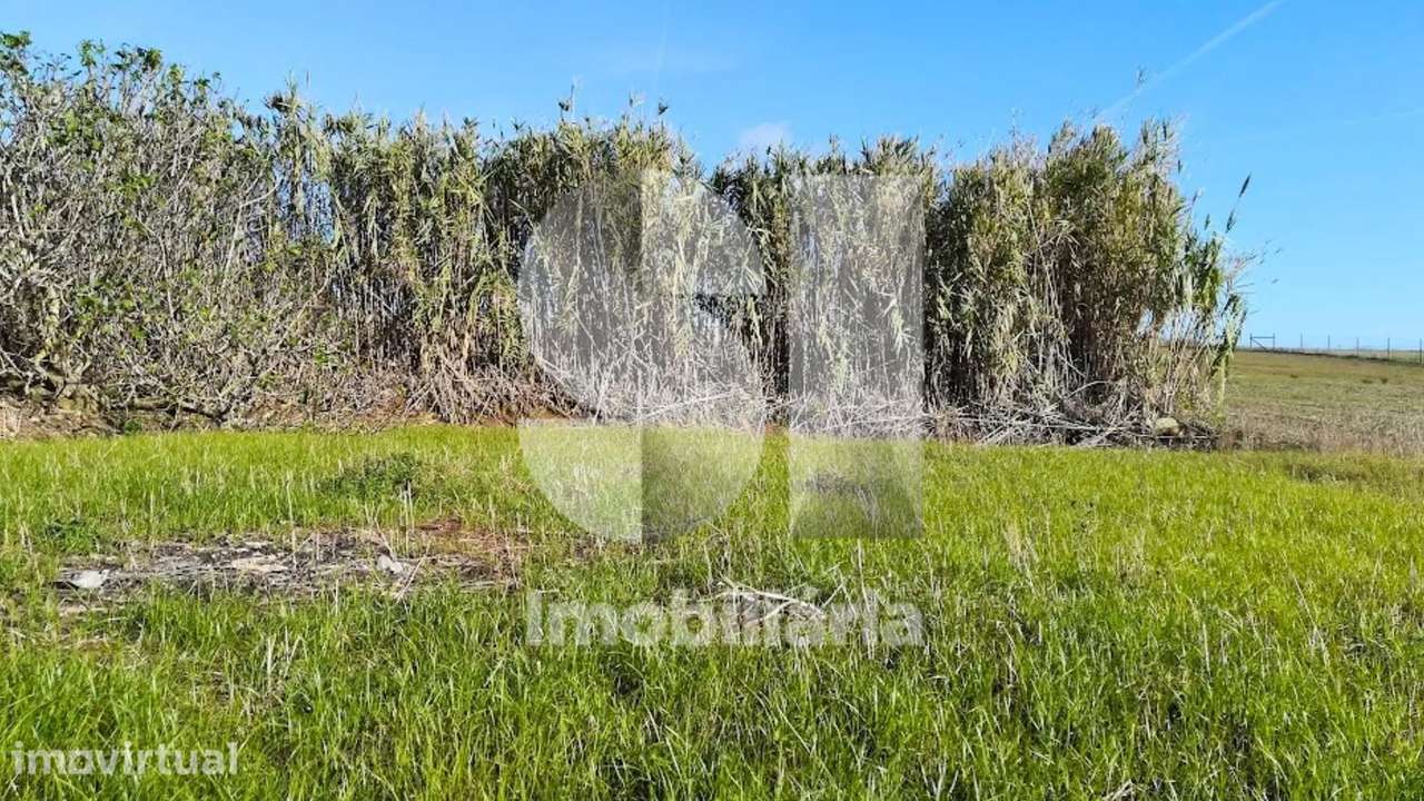 Ruina com grande área de terreno - Grande imagem: 5/25