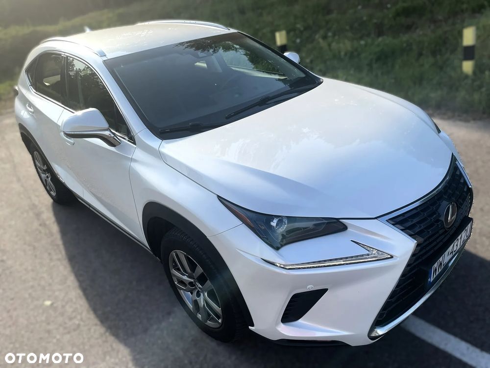 Lexus NX - 10