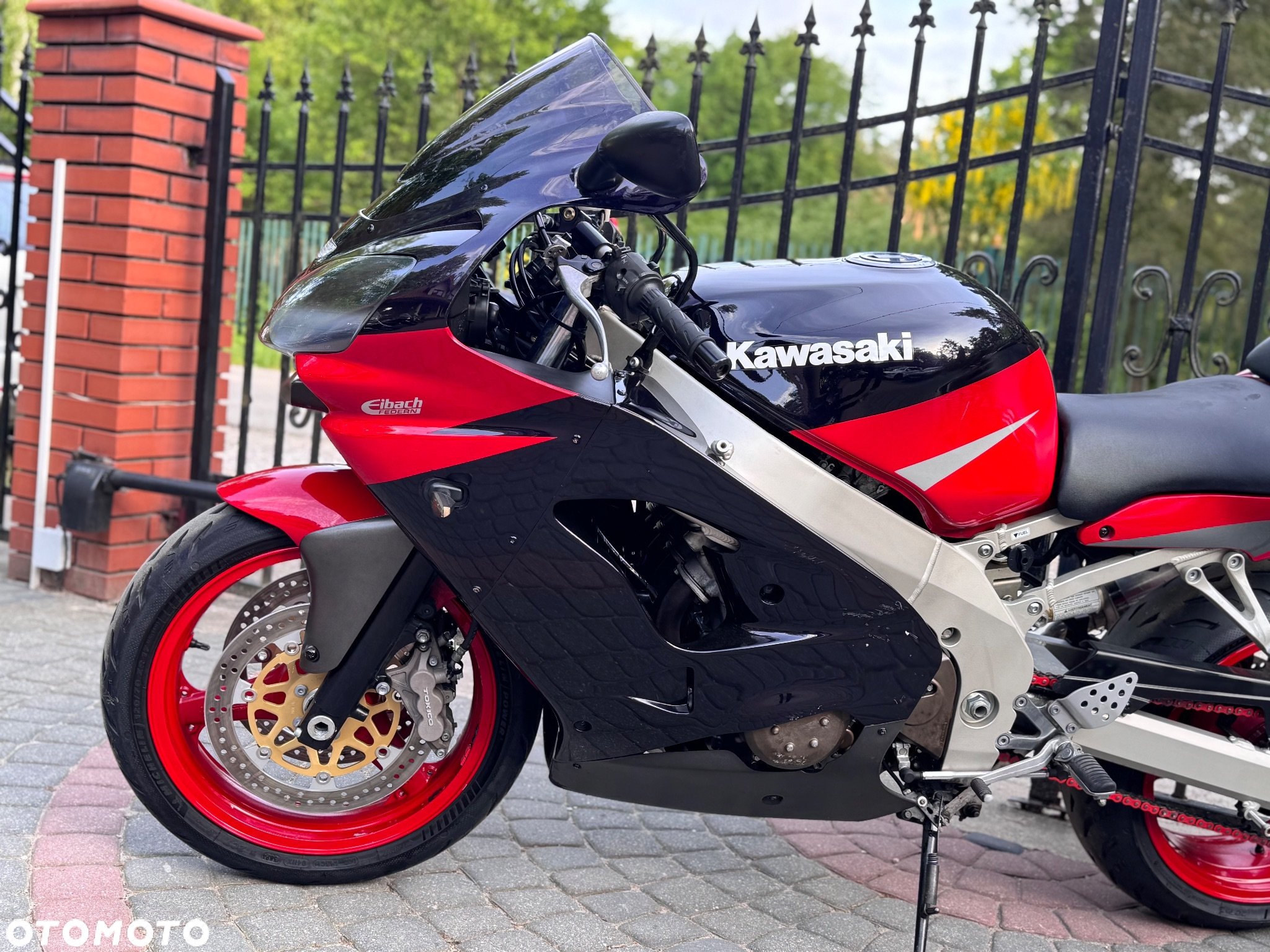 Kawasaki ZX - 19