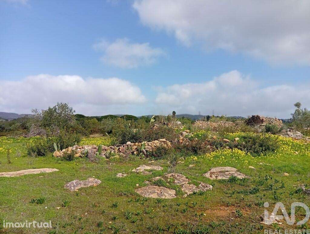 Terreno misto em Conceição e Estoi - Grande imagem: 2/13