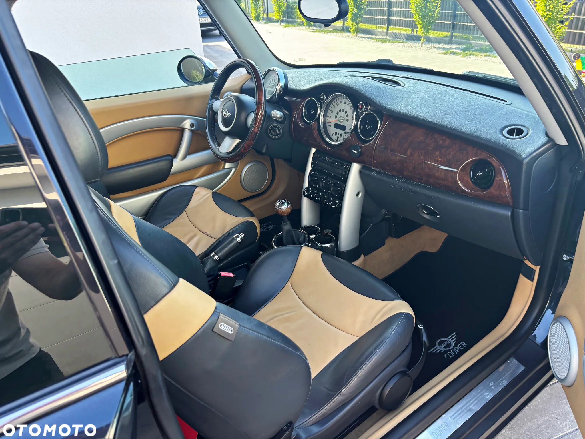 MINI Cooper pepper - 20