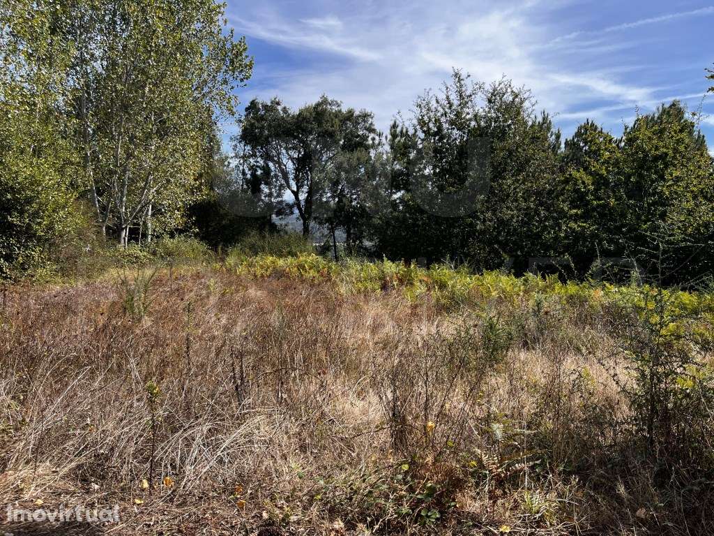 Terreno de Construção em Sapardos, Vila Nova de Cerveira - Grande imagem: 2/11