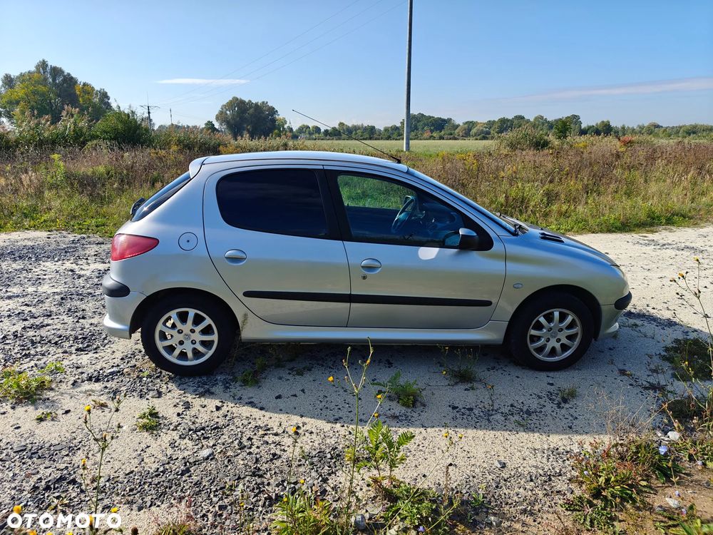 Peugeot 206 - 5
