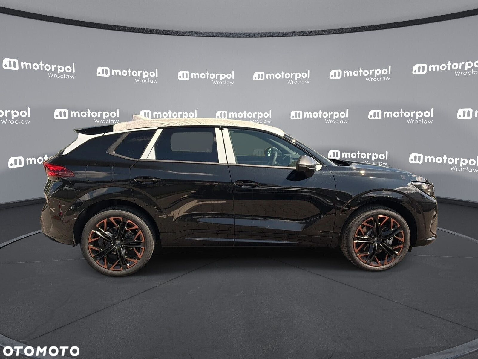 Cupra Terramar - 11