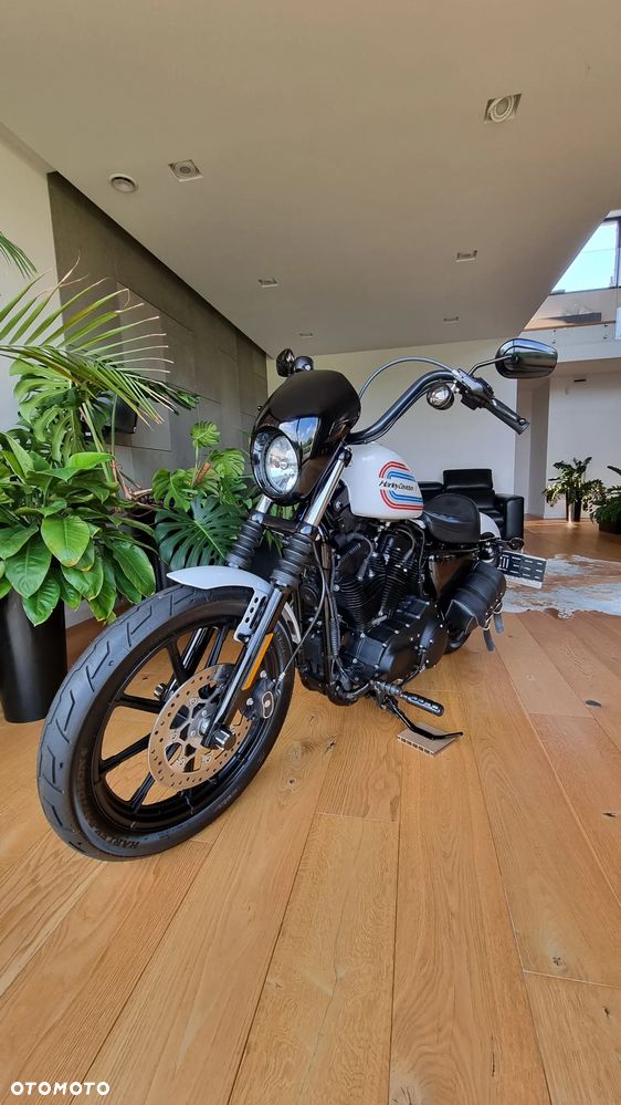 Harley-Davidson Sportster Iron 1200 - 22