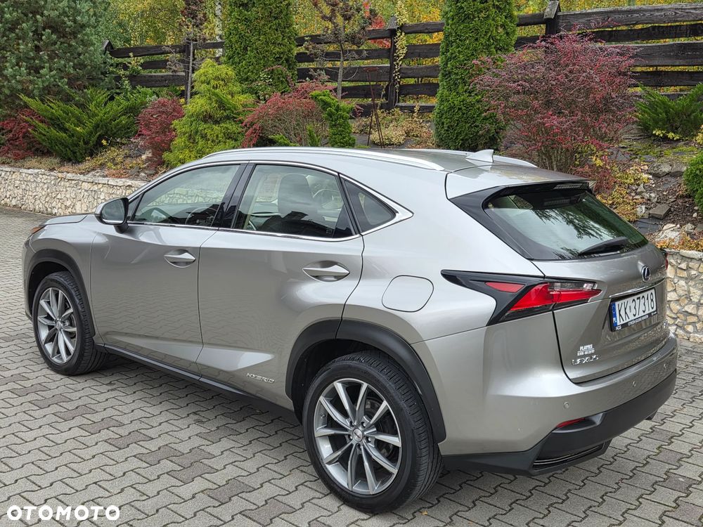 Lexus Nx 2017 photo 5