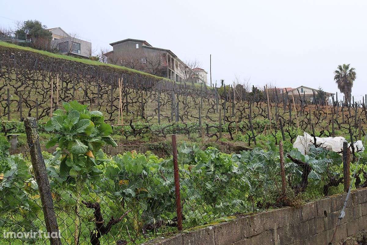 Terreno  para venda - Grande imagem: 3/7