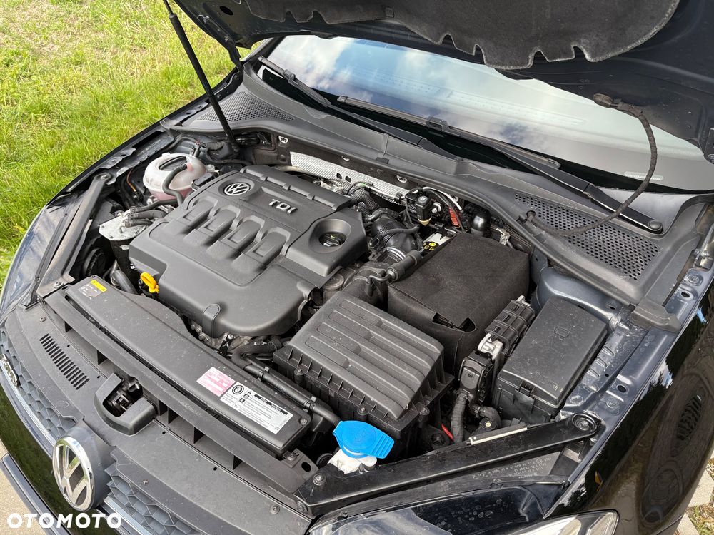 Volkswagen Golf - 21
