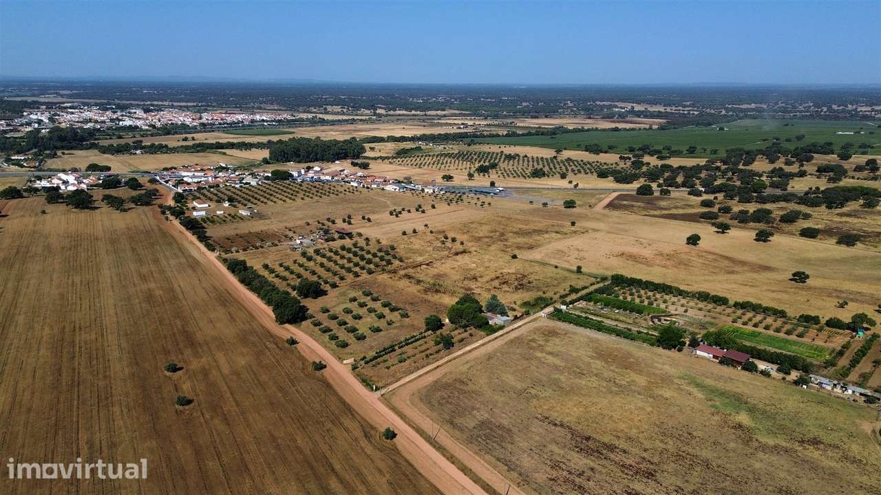 Propriedade rústica com 2,25 hectares integrada no regadio do Alqueva, - Grande imagem: 2/33