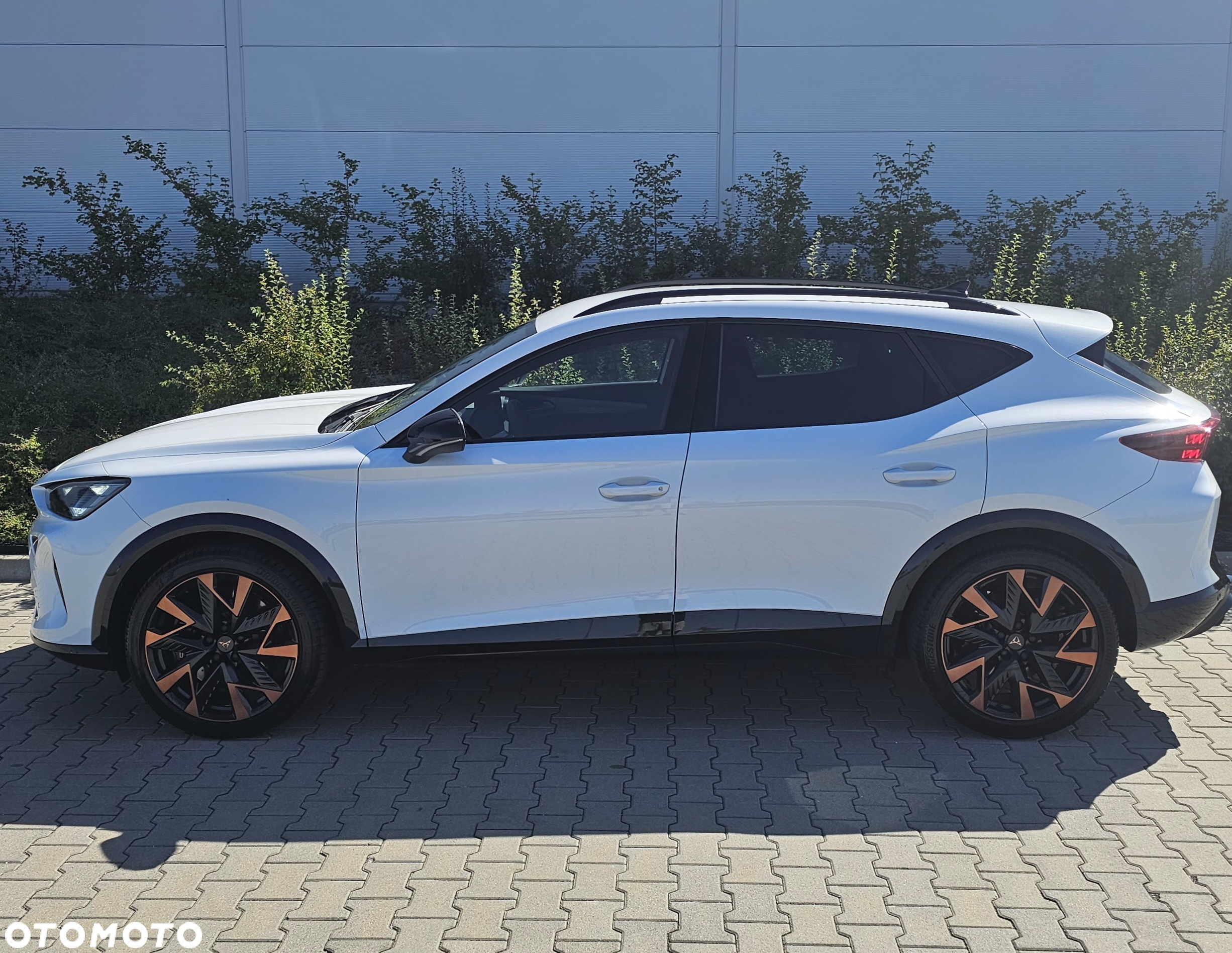 Cupra Formentor 2.0 TSI 4Drive VZ DSG - 5