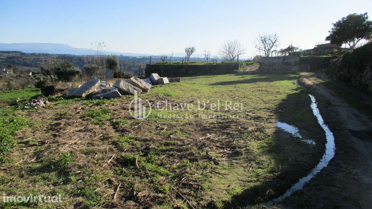 Quinta  Venda em São João de Lourosa,Viseu - Grande imagem: 2/19