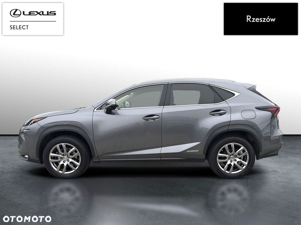 Lexus Nx 2017 photo 2