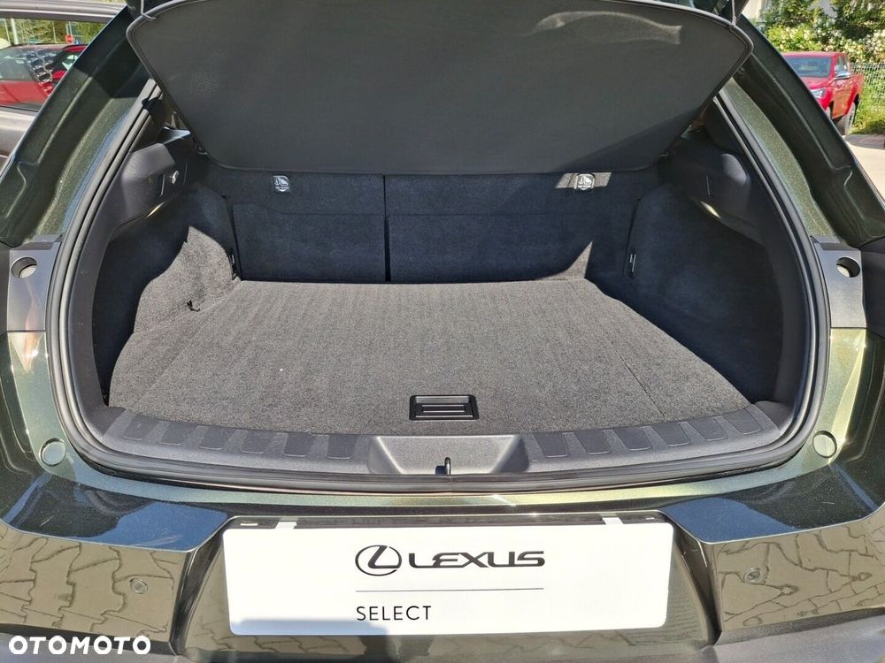 Lexus UX 250h GPF F Sport Design 2WD - 30