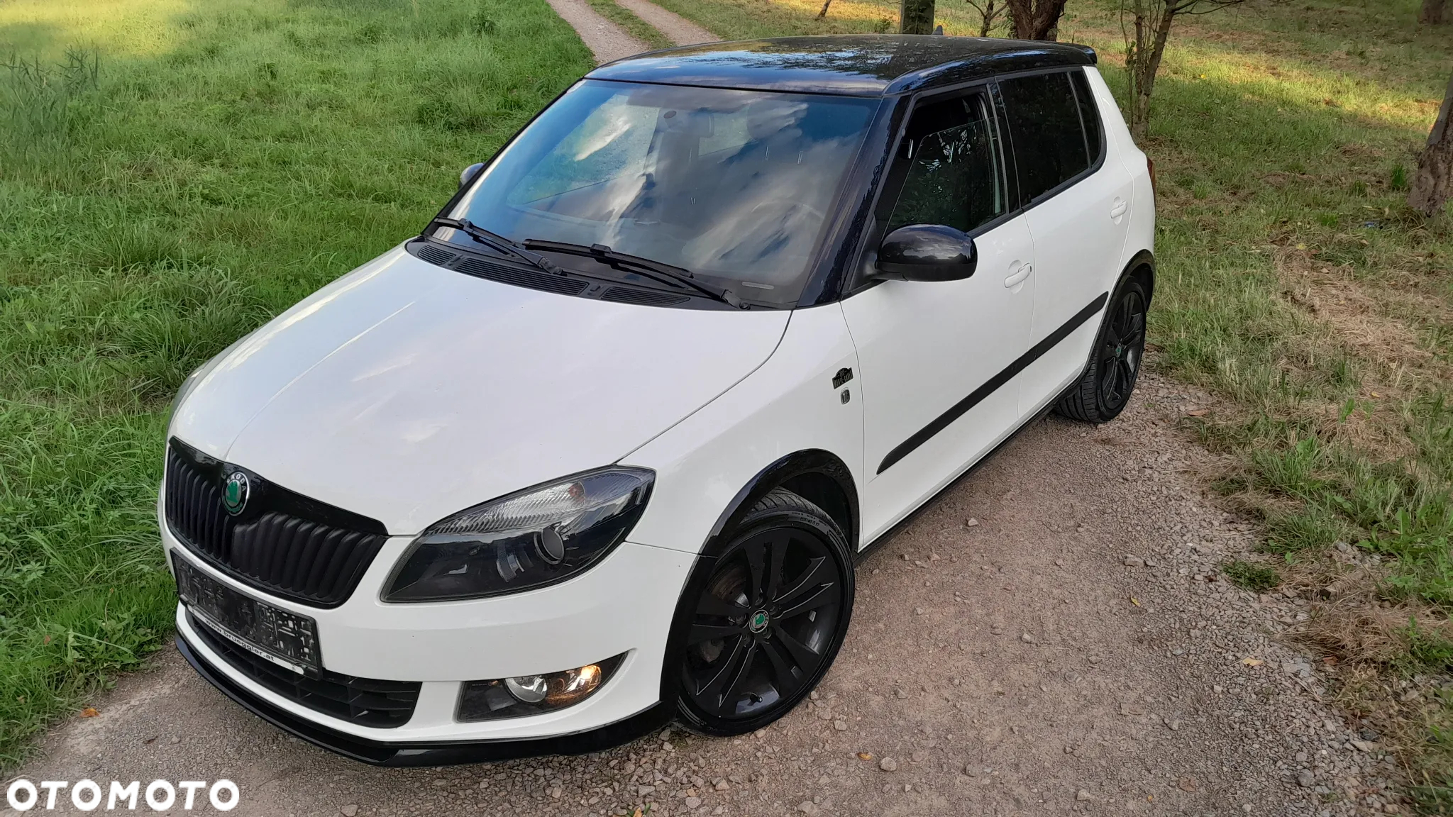 Skoda Fabia - 25