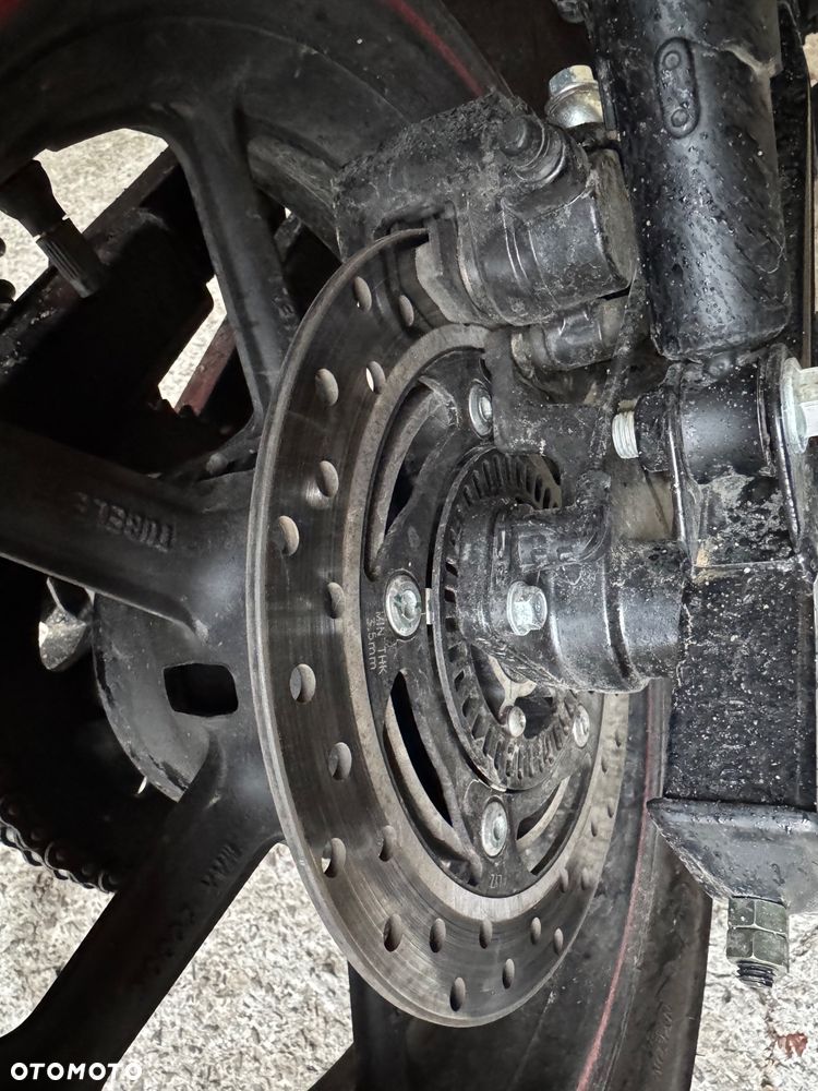 UM Renegade Vegas - 14