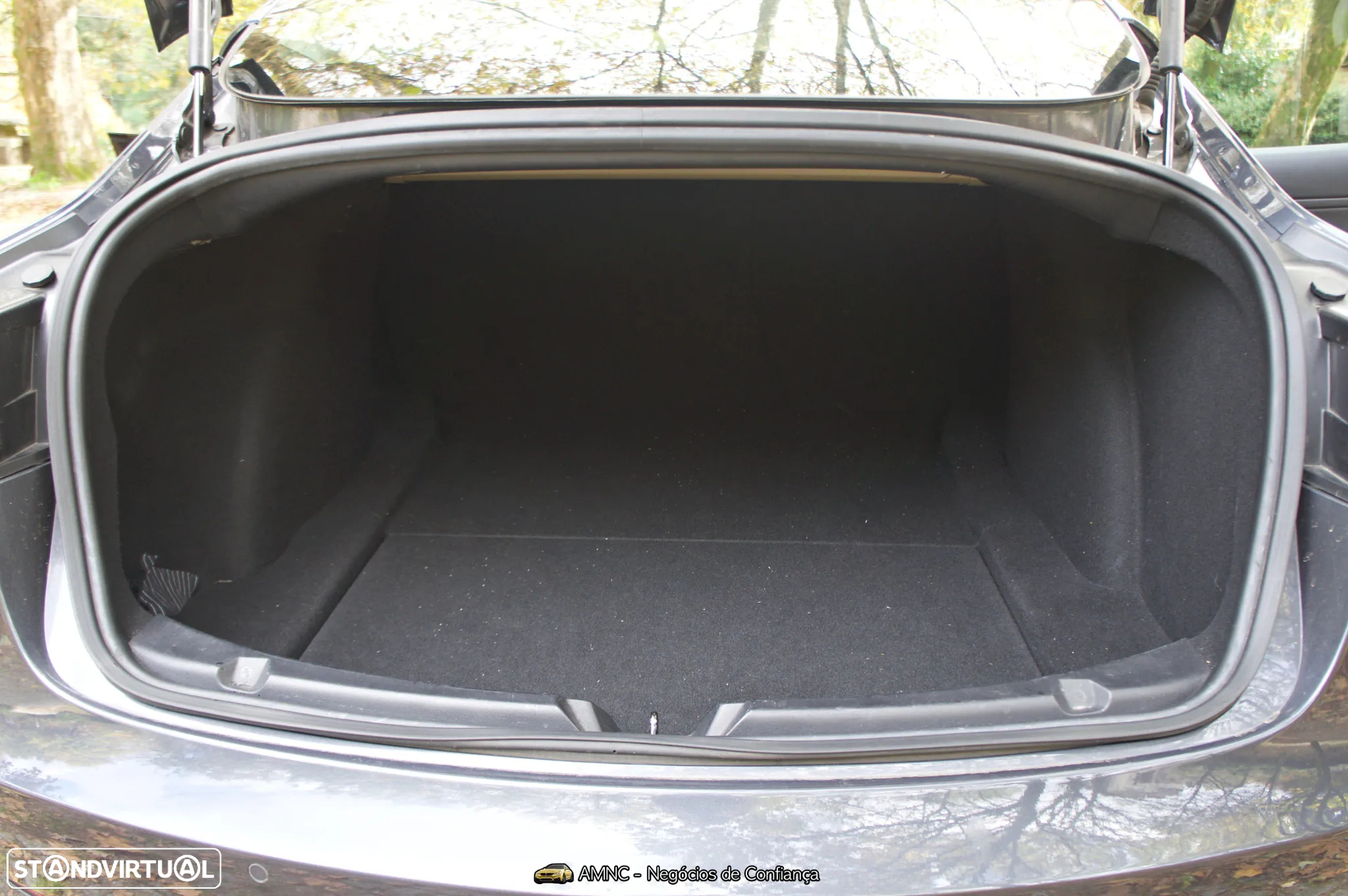 Tesla Model 3 Performance Dual Motor AWD - 22