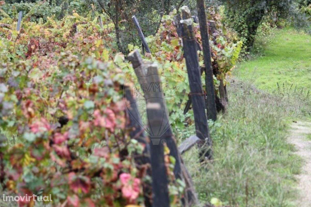 Terreno  para venda - Grande imagem: 3/28