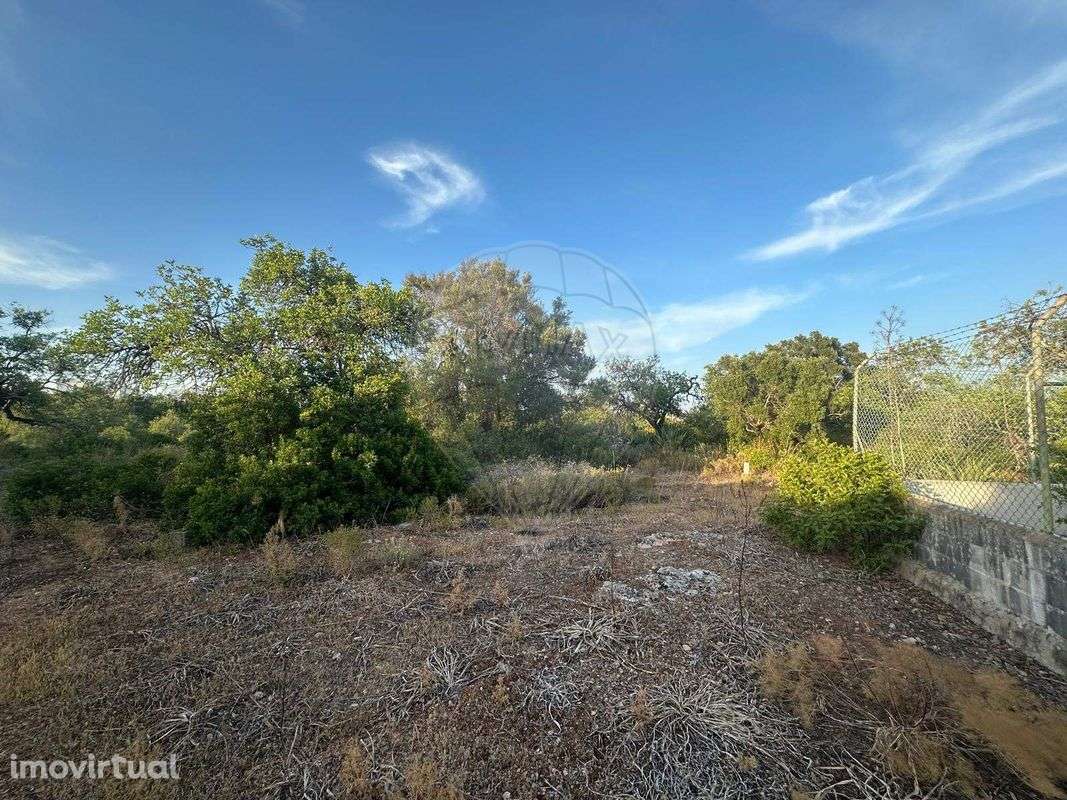 Terreno  para venda - Grande imagem: 4/15