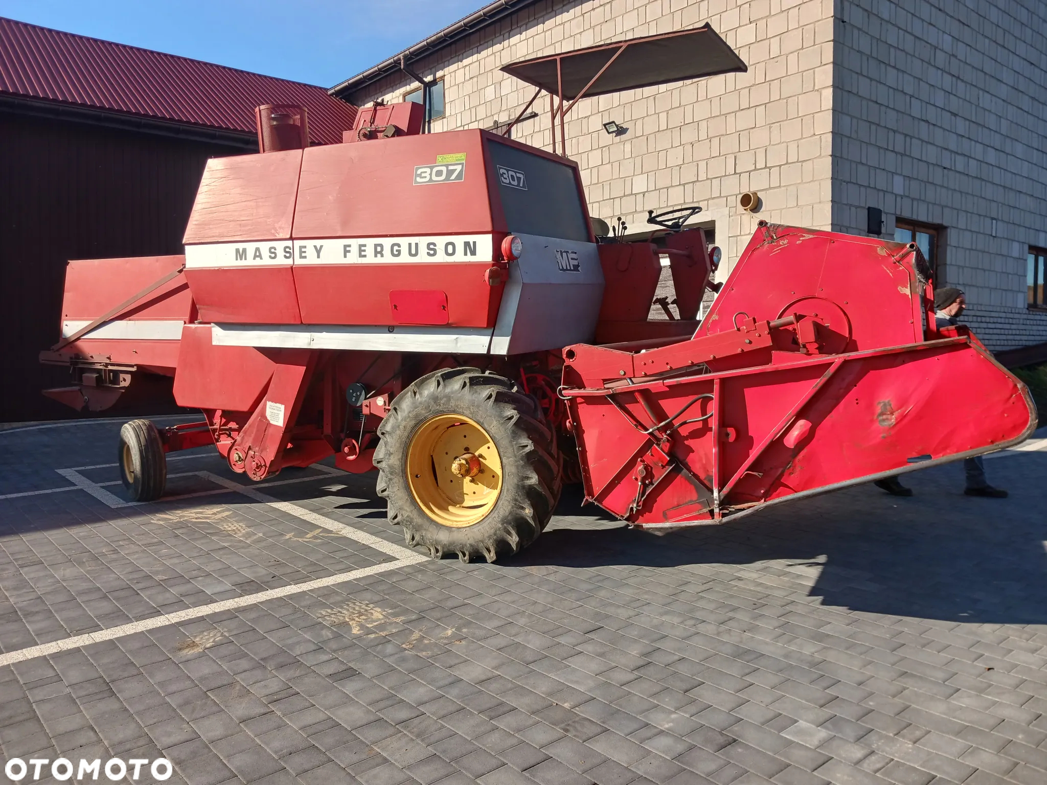 Massey Ferguson 307-8 - 5